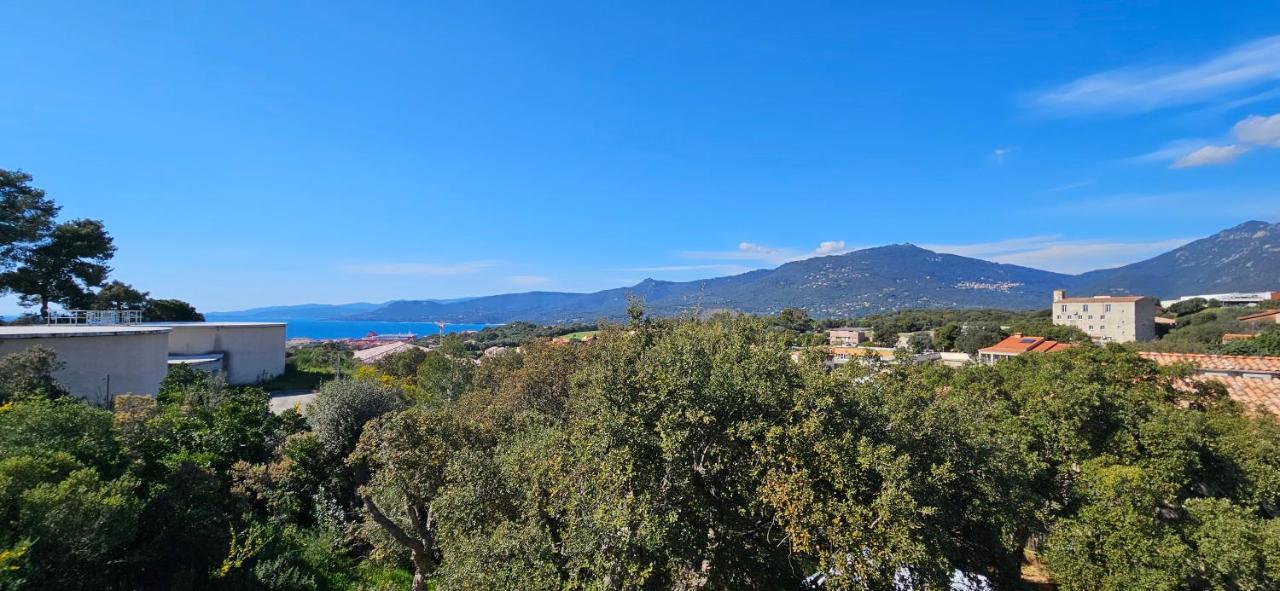 T3 Le Myrte Vue Mer & Montagne Idealement Situe Propriano (Corsica) Exterior foto